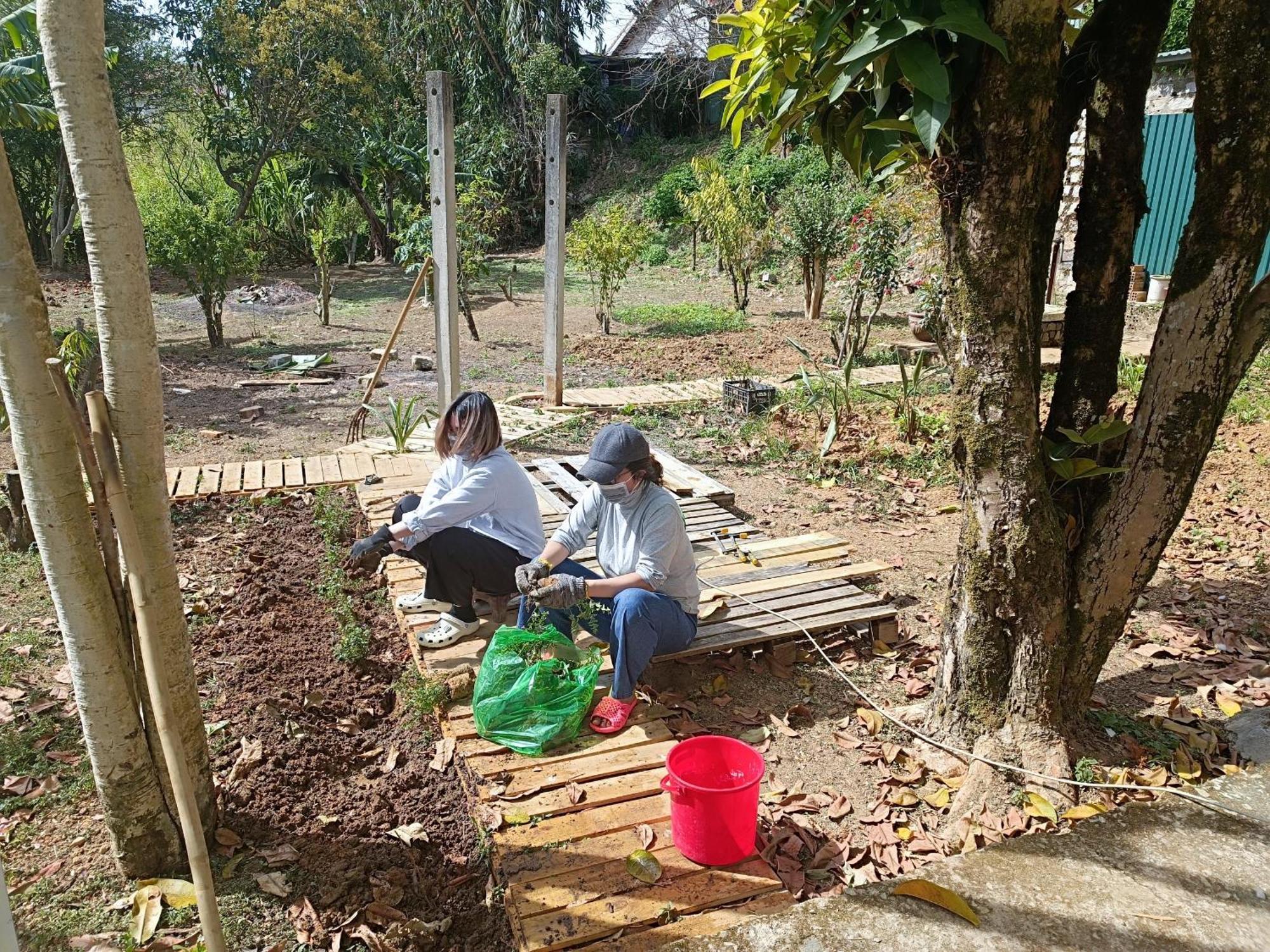 The Burrow Dalat Leilighet Eksteriør bilde